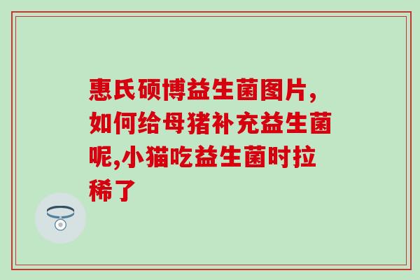 益生菌菌粉补充剂有哪些(重写标题：益生菌菌粉补充剂：功效与适用场合)