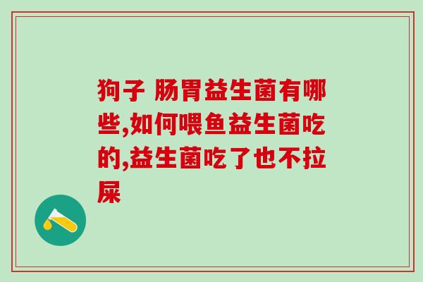 益生菌怎么喂给金毛吃的(教你正确喂金毛吃益生菌，让它更健康！)