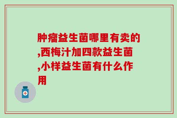 自制益生菌狗粮怎么吃(自制益生菌狗粮的正确喂食方法)