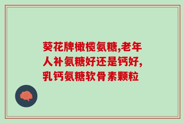 cmd氨糖(使用cmd氨糖：简单快速执行Windows命令)