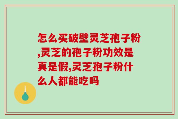 白云山灵芝孢子粉产地？了解灵芝孢子粉的采集地和生产过程？
