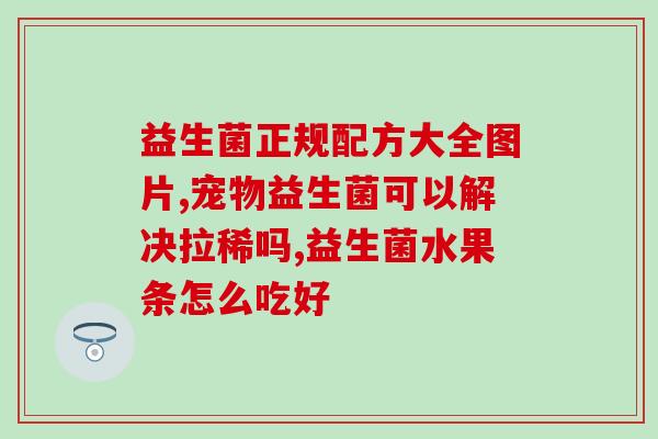 两只荷兰猪用什么益生菌(荷兰猪喂什么益生菌好？)