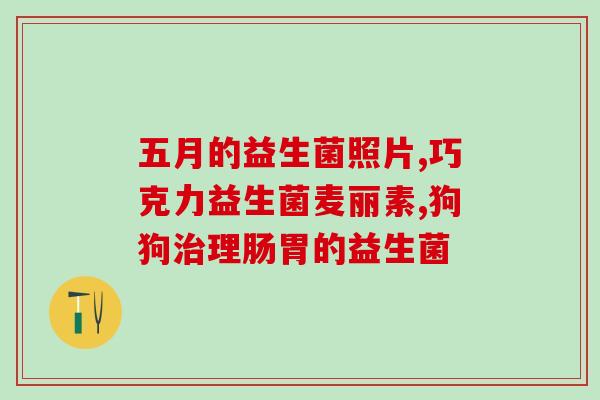 医院有开的复合益生菌粉(医院销售的复合益生菌粉推荐)