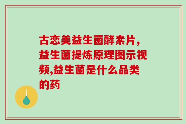 人吃的哪种益生菌适合狗(狗狗适合吃哪种人类益生菌？)