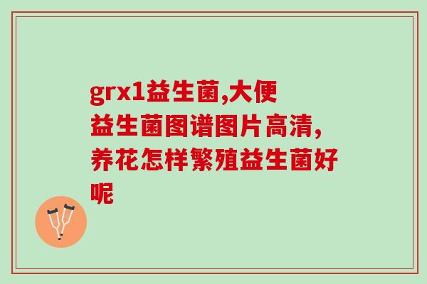 6岁宝宝益生菌？如何选择和使用适合儿童的益生菌？