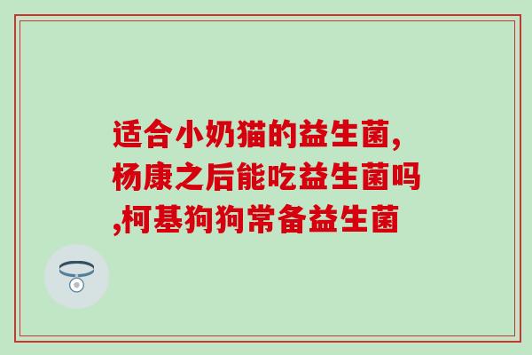 中老年含益生菌好不好(老年人服用益生菌有益无害吗？)