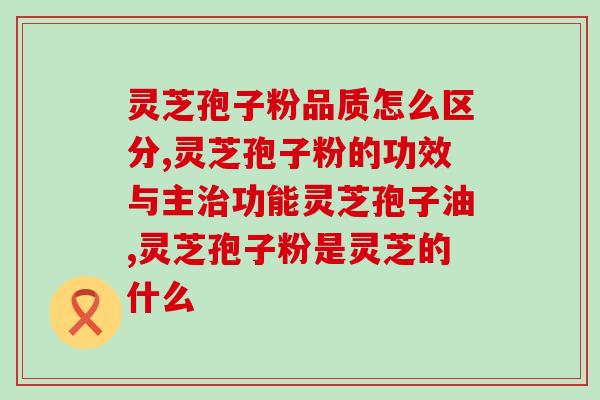 破壁中药饮片灵芝孢子粉的功效与使用方法