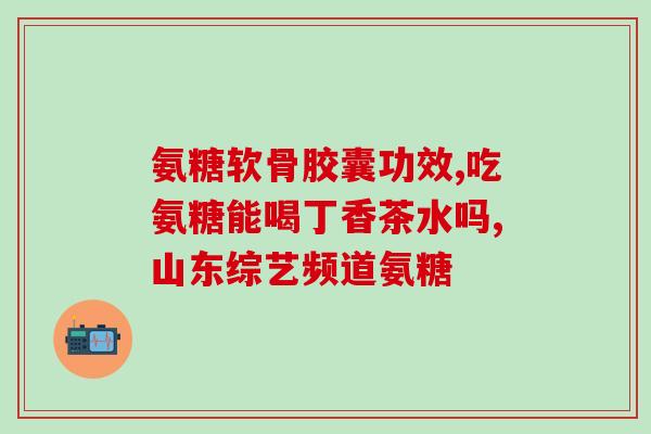 康力多氨糖(康力多氨糖：为关节保护助力)