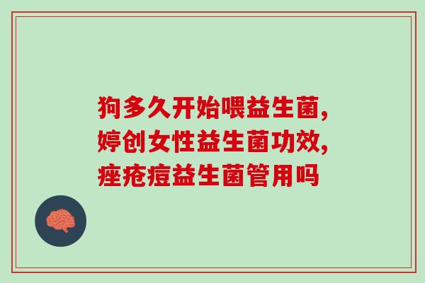 now益生菌和布拉迪怎么喂食(如何正确喂食now益生菌和布拉迪？)