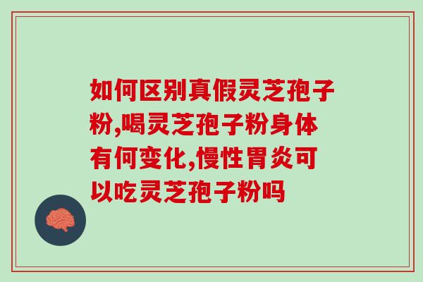 启泰灵芝孢子粉怎么吃？正确的灵芝孢子粉食用方法？