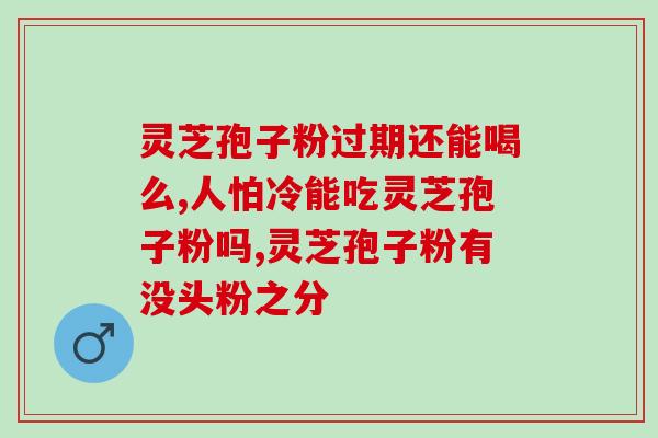 亳州灵芝孢子粉加工？全方位介绍灵芝孢子粉的加工工艺？