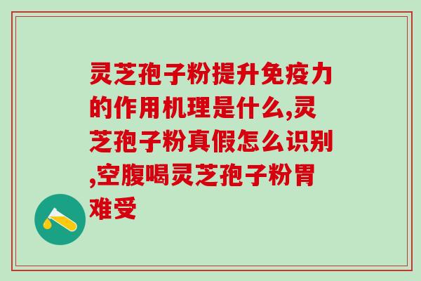 九惠灵芝孢子粉配料表？详细配方及制作步骤？
