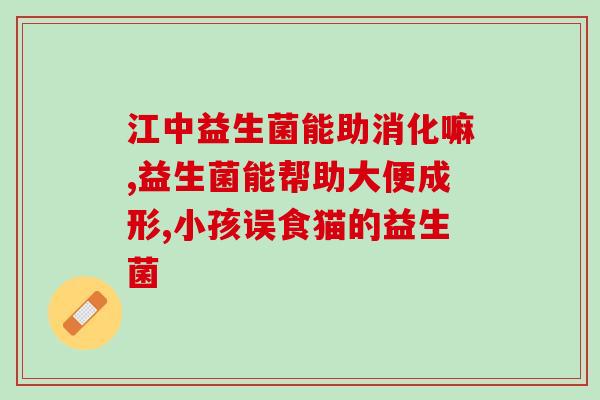 什么益生菌调理肠胃比较好猫咪(猫咪肠胃调理首选的益生菌推荐)