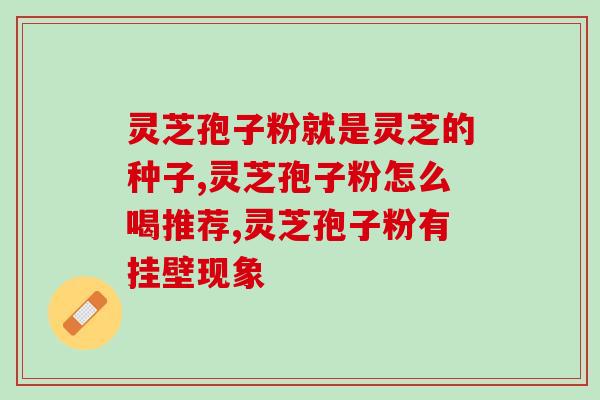 湿热症患者适合食用灵芝孢子粉吗？探讨灵芝孢子粉对湿热症的疗效？