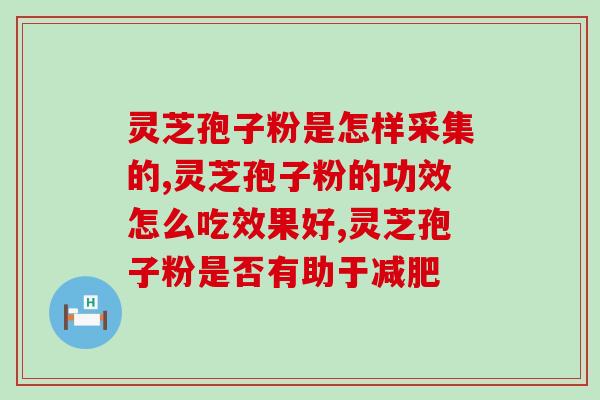 灵芝孢子粉每次克能用吗？灵芝孢子粉的正确用法与注意事项？