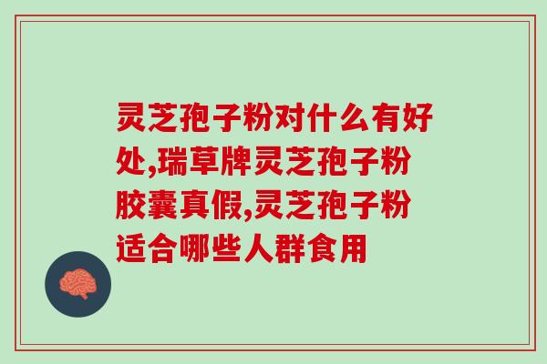 支架的人能吃灵芝孢子粉？探讨支架对灵芝孢子粉的适用性与作用？