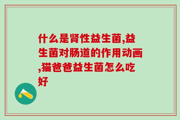 一诺益生菌粉有啥用途(一诺益生菌粉的功效及用途简述)