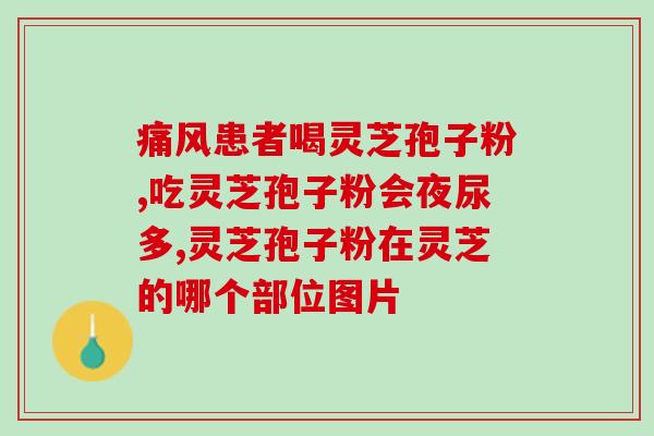 大学生能否食用灵芝孢子粉？？解析灵芝孢子粉的功效与适用人群？