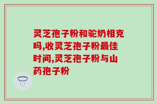 百草记破壁灵芝孢子粉胶囊？提高免疫力的天然健康食品？