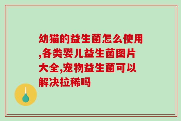 为什么益生菌吃了还是便秘？探究益生菌对便秘的作用及可能的原因？