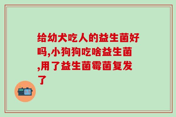 南京同仁堂益生菌钙片猫咪(南京同仁堂推出益生菌钙片适合猫咪食用)