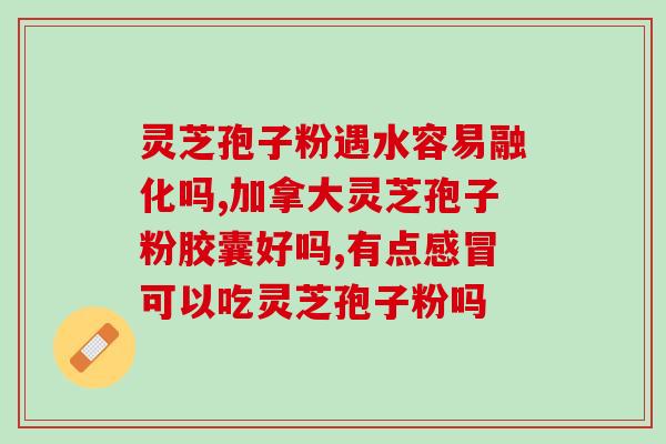 品高灵芝孢子粉和雷允上？了解品高灵芝孢子粉和雷允上的功效与用途？