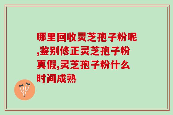 破壁灵芝孢子粉的正确食用方法(正确食用破壁灵芝孢子粉的方法)