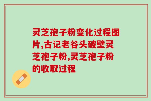 康熙源破壁灵芝孢子粉胶囊？带你了解灵芝孢子粉的功效与使用方法？