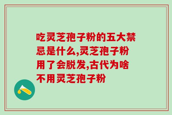 吃灵芝孢子粉肚子经常饿？灵芝孢子粉的功效与副作用？