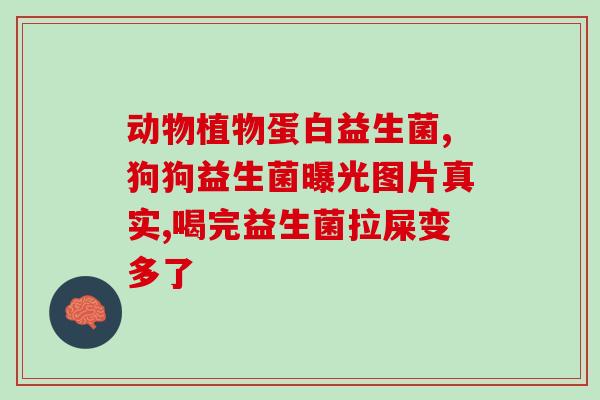九景堂益生菌怎么样啊(九景堂益生菌的功效与特点简介)