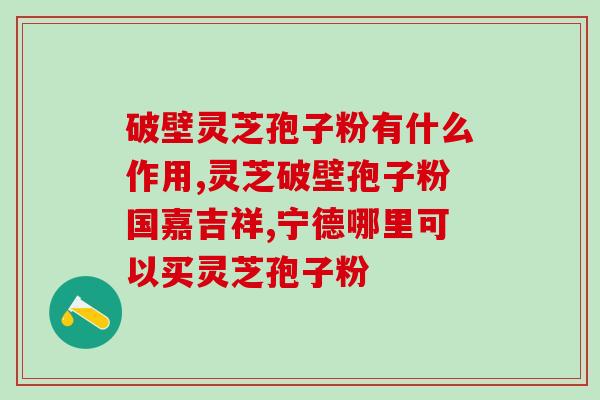 三七西洋参石斛灵芝孢子粉(四味中药材粉，益气养生，助你拥有健康身体)