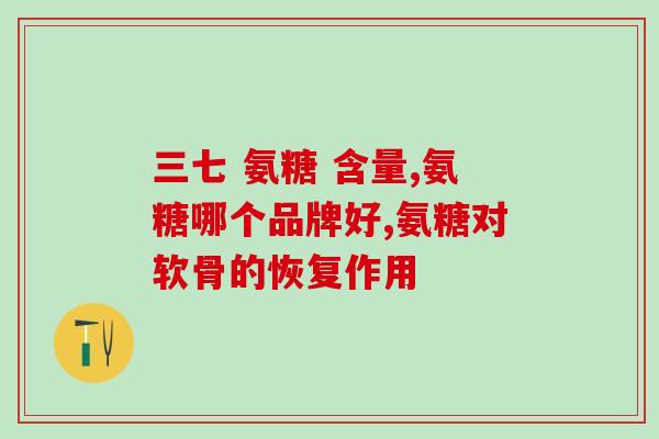 时代铁骑氨糖(时代铁骑——氨糖助力关节健康