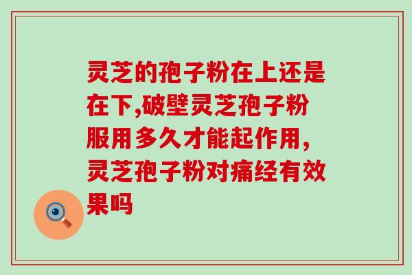 京禧孢子粉 (京禧孢子粉：来自京城的健康补品)