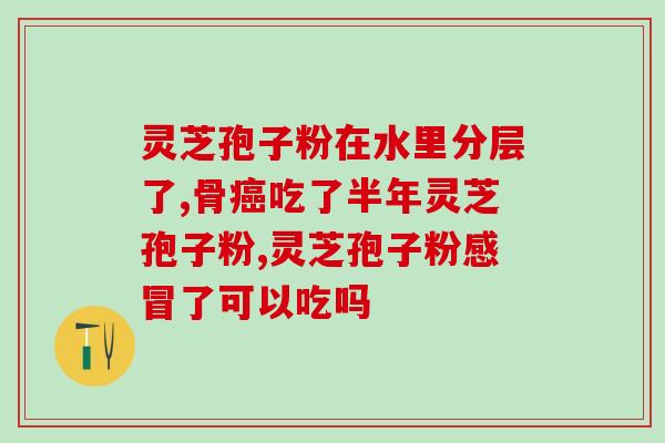 世一堂牌灵芝孢子粉(世一堂牌灵芝孢子粉：拥抱天然健康生活的明智选择)