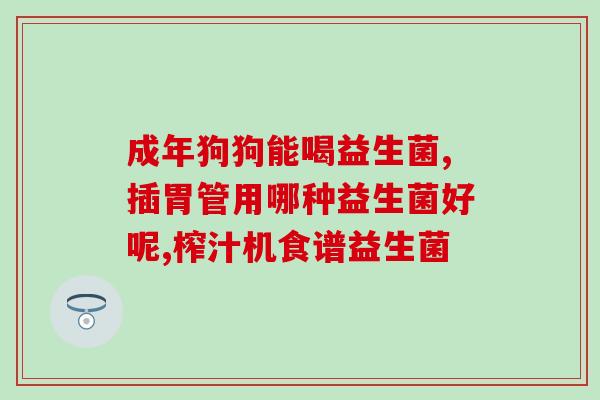 大人的益生菌哪个牌子好？市面上常见的益生菌品牌推荐？