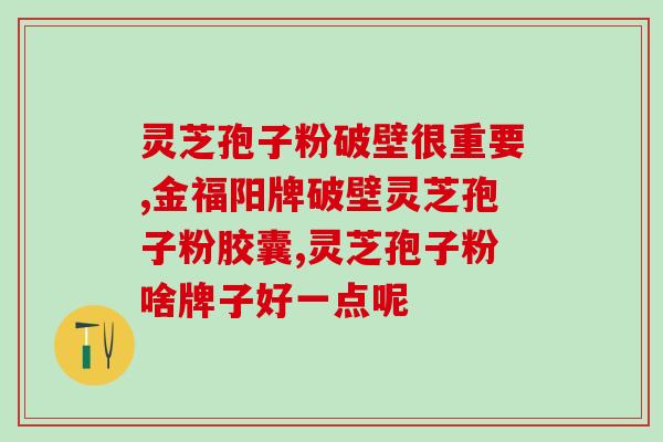 40克灵芝孢子粉？一只灵芝可以产多少灵芝孢子粉