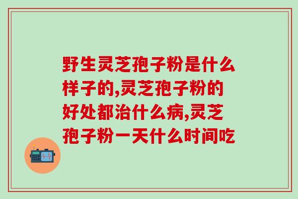 中粮香雪孢子粉怎么样(粮香雪孢子粉的效果和功效是什么？)