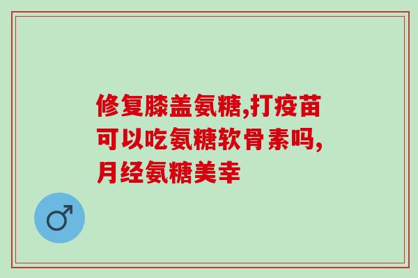 日本医食同源氨糖软骨素的功效及使用方法