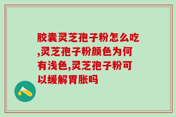 亳州灵芝破壁(亳州灵芝粉破壁，更容易被吸收)