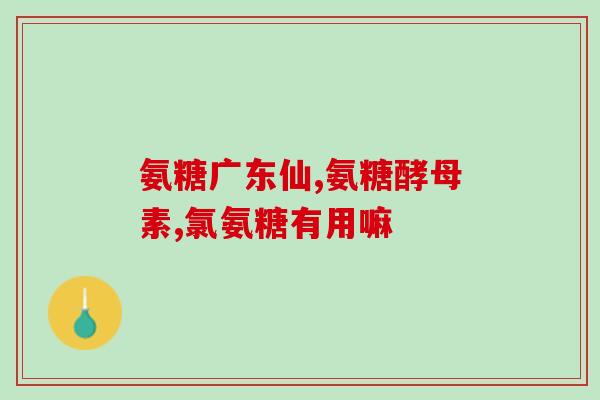 氨糖 腰疼(缓解腰痛的氨糖)