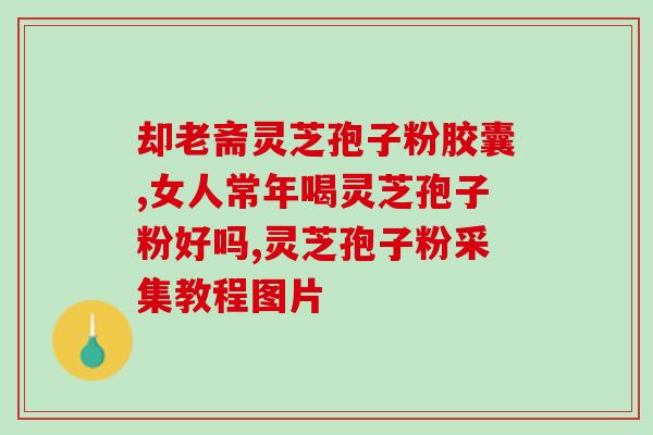 值夜班灵芝孢子粉(夜班加班族的福音，灵芝孢子粉助力健康忙碌一夜)