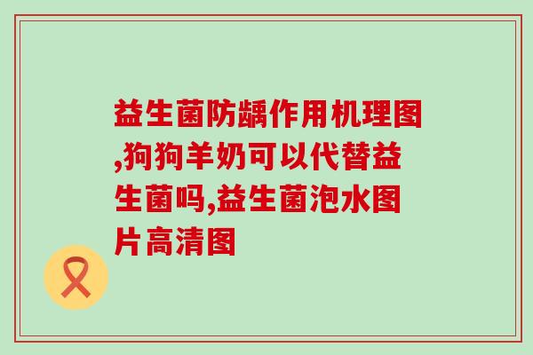 三只松鼠益生菌每坚果热量(三只松鼠推出低热量益生菌坚果)