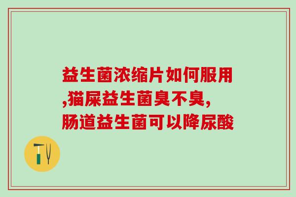 一般人可以服用益生菌吗(谁可以服用益生菌？