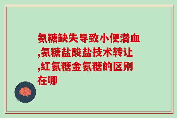 氨糖必须加软骨素吗(氨糖补充需要搭配软骨素吗？)