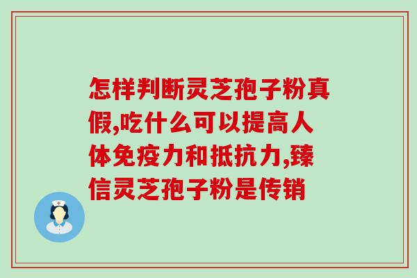千喜牌灵芝破壁炮子粉(千喜牌灵芝破壁炮子粉：提高免疫力，滋补养生)