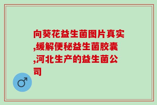 小奶猫拉稀喂益生菌可以吗？宠物腹泻的处理方法？