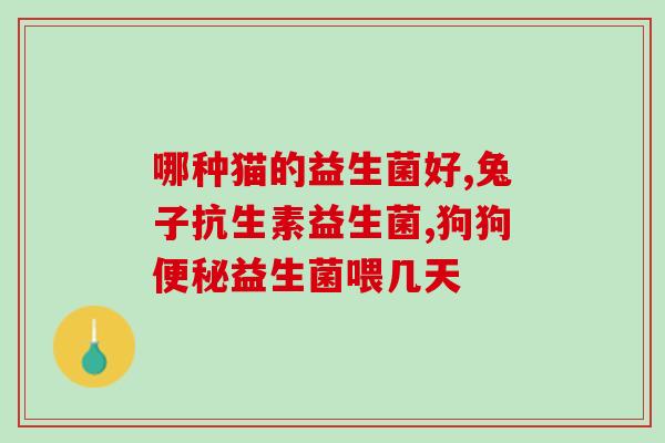 幼犬柯基还要喝益生菌吗(幼犬柯基需要额外摄入益生菌吗？)
