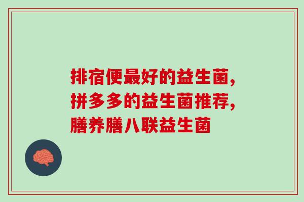 奶猫人工喂养要补充益生菌(为人工喂养的奶猫补充益生菌，保证健康成长)