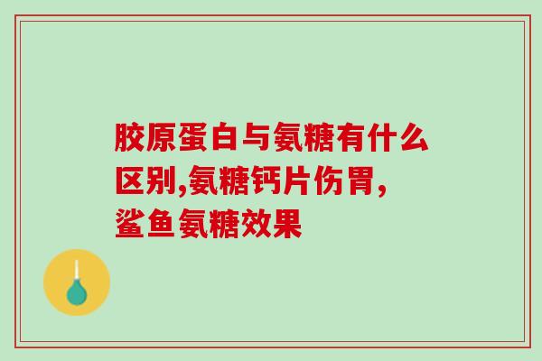 天目湖药业的氨糖软素(天目湖药业推出氨糖软素产品)