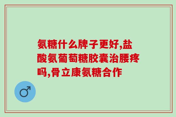氨糖多效(氨糖多效：为关节的健康提供全面照护)